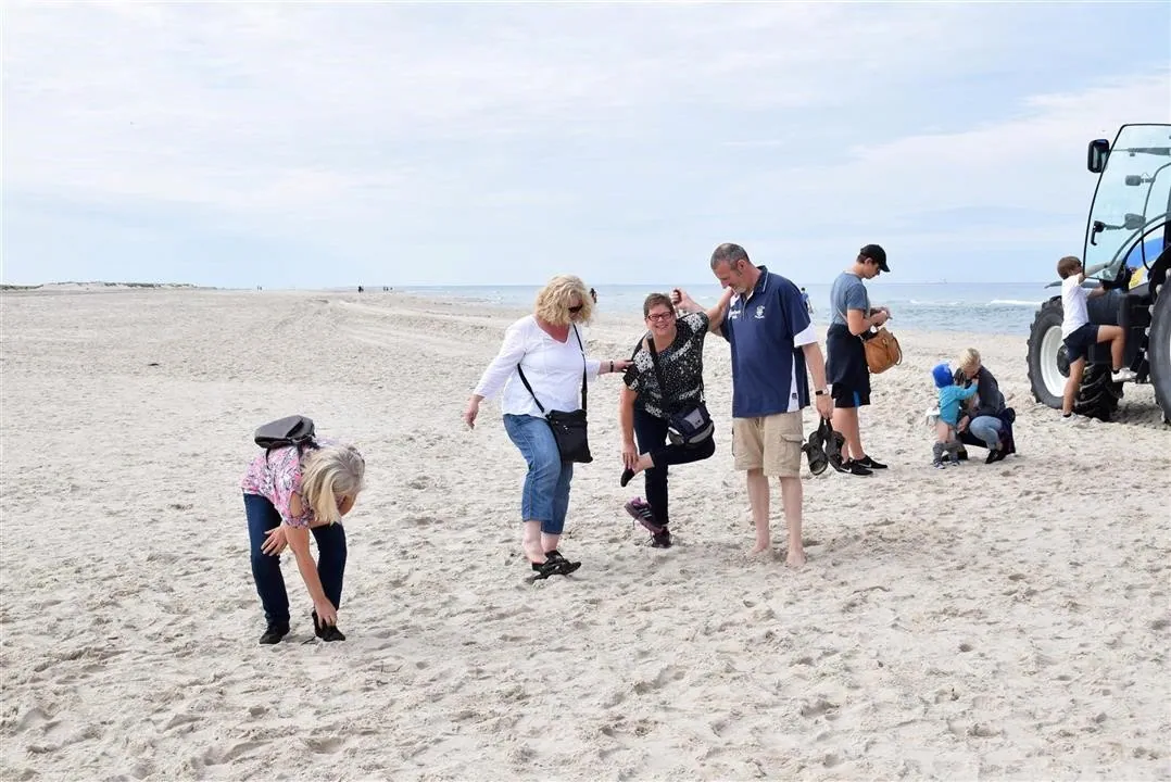 G22.2 grenen and the sandormen sat 22 jul (8)